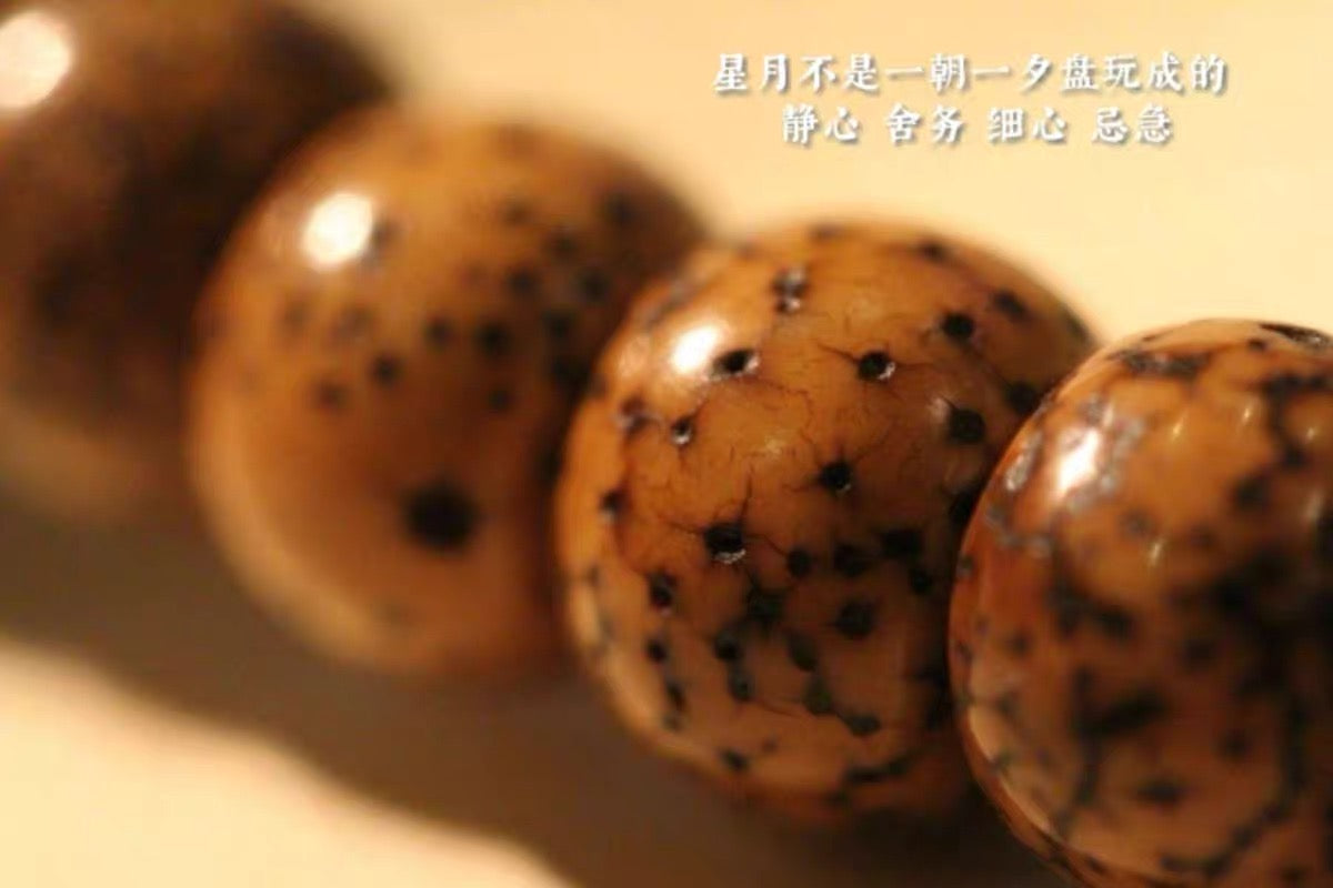 Star-and-Moon Bodhi Seed & Dzi Bead Necklace product detail